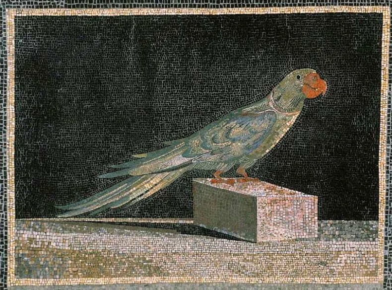 Иллюстрация к книге — Пергамский музей Берлин [i_032.jpg]