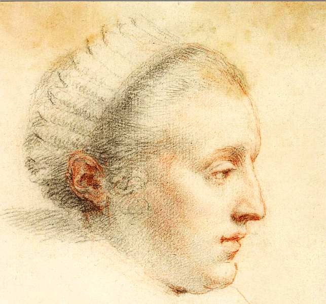 Иллюстрация к книге — Музей Фогга Гарвард [i_022.jpg]