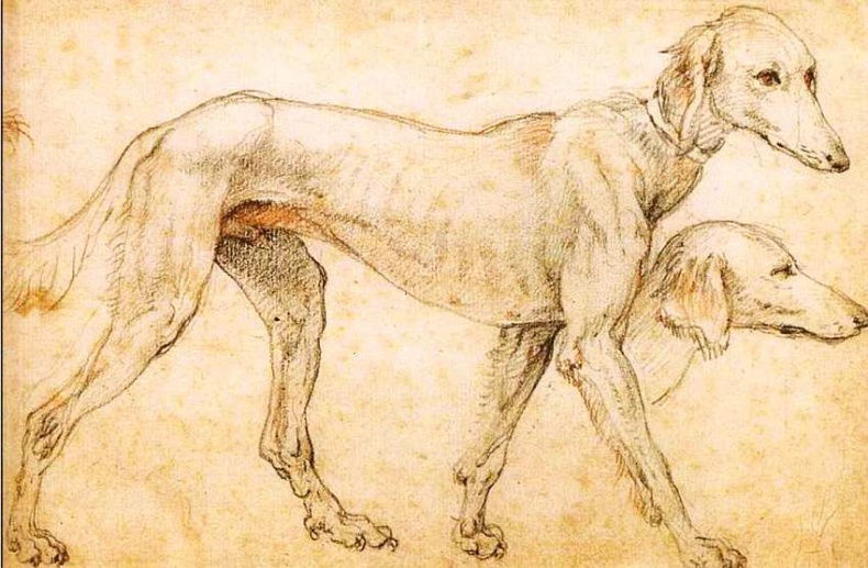 Иллюстрация к книге — Королевский музей изящных искусств Брюссель [i_032.jpg]