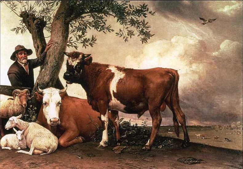 Иллюстрация к книге — Маурицхейс Гаага [i_050.jpg]