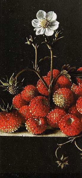 Иллюстрация к книге — Маурицхейс Гаага [i_083.jpg]