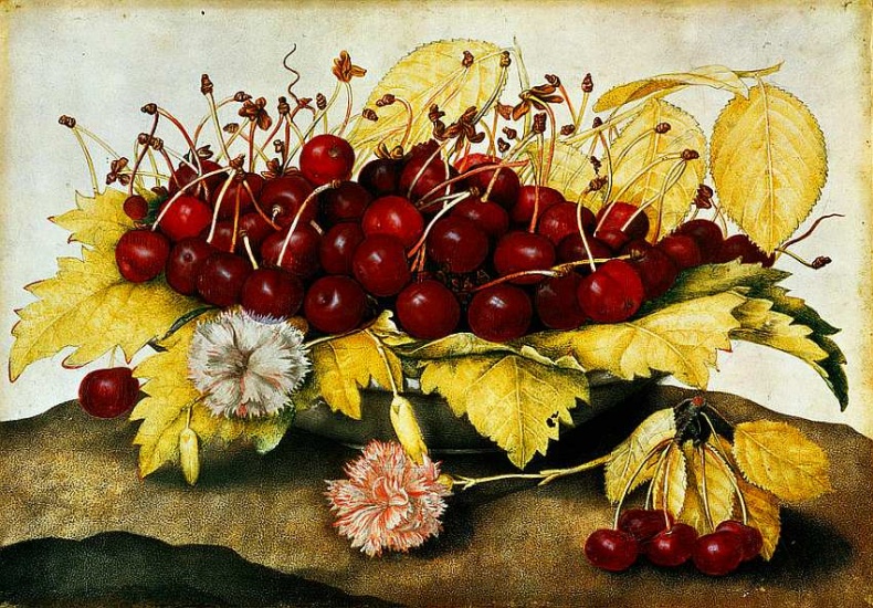 Иллюстрация к книге — Галерея Питти [i_078.jpg]