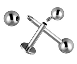 Иллюстрация к книге — Энциклопедия Пирсинга. Настольная книга мастера и клиента [externalinternal.jpg]