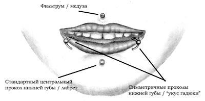 Иллюстрация к книге — Энциклопедия Пирсинга. Настольная книга мастера и клиента [lippiercings.jpg]