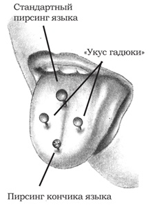 Иллюстрация к книге — Энциклопедия Пирсинга. Настольная книга мастера и клиента [tonguepiercings.jpg]
