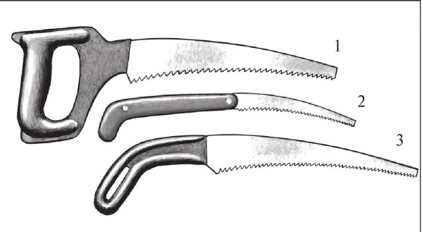 Иллюстрация к книге — Формирование и обрезка садовых деревьев [i_101.jpg]