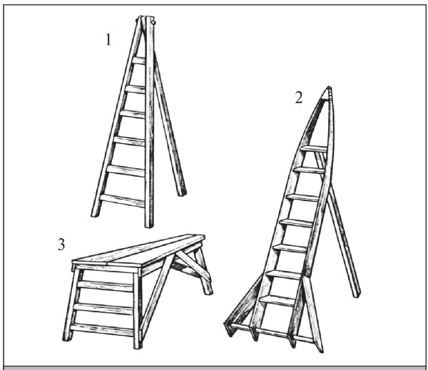 Иллюстрация к книге — Формирование и обрезка садовых деревьев [i_102.jpg]