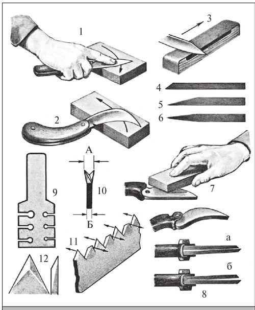 Иллюстрация к книге — Формирование и обрезка садовых деревьев [i_103.jpg]