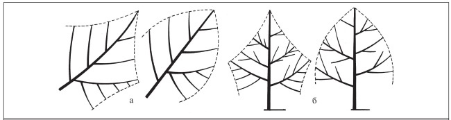 Иллюстрация к книге — Формирование и обрезка садовых деревьев [i_105.jpg]