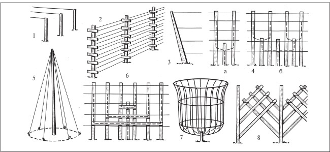 Иллюстрация к книге — Формирование и обрезка садовых деревьев [i_149.jpg]