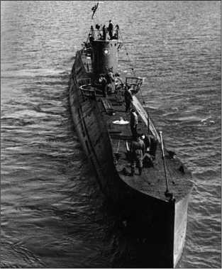 Иллюстрация к книге — Героические корабли Великой Отечественной [i_259.jpg]