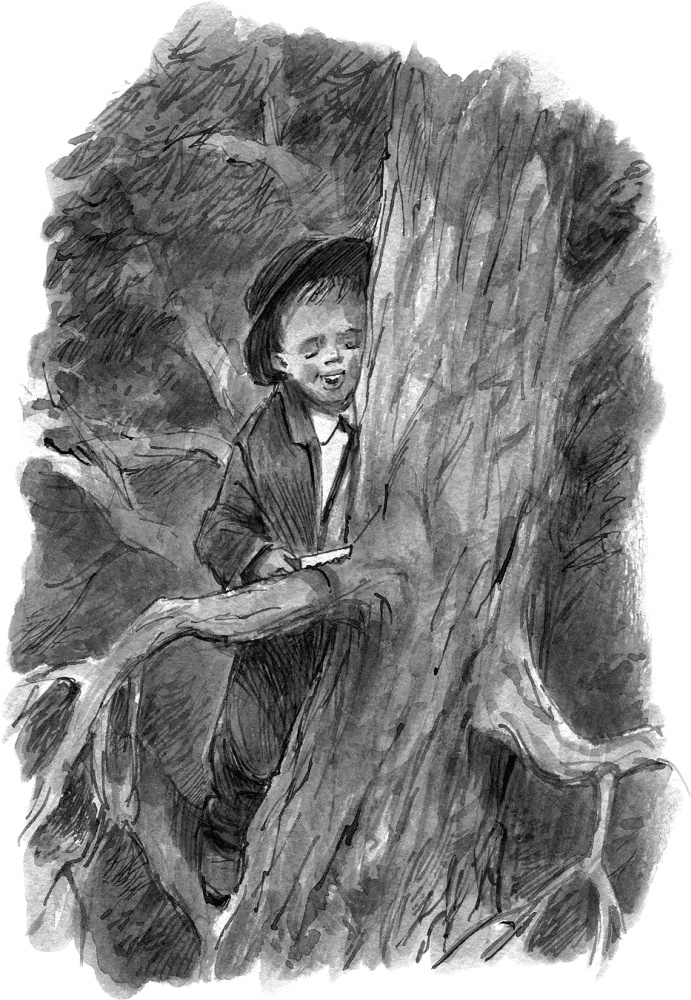 Иллюстрация к книге — Пуговичная война. Когда мне было двенадцать [i_019.jpg]