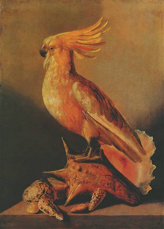 Иллюстрация к книге — Мастера натюрморта [i_042.jpg]