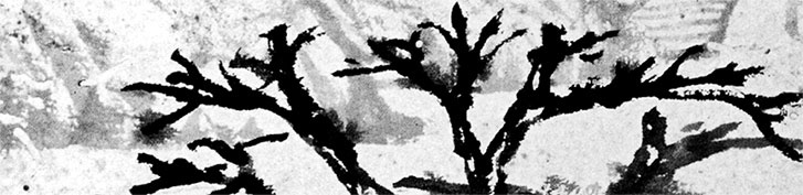 Иллюстрация к книге — Чжуан-Цзы Бронислава Виногродского. Книга о знании и власти [i_207.jpg]