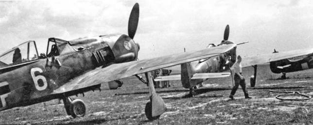 Иллюстрация к книге — Фокке-Вульф Fw 190, 1936-1945 [pic_139.jpg]
