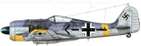 Иллюстрация к книге — Фокке-Вульф Fw 190, 1936-1945 [pic_154.jpg]