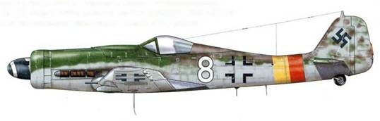 Иллюстрация к книге — Фокке-Вульф Fw 190, 1936-1945 [pic_209.jpg]