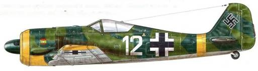 Иллюстрация к книге — Фокке-Вульф Fw 190, 1936-1945 [pic_31.jpg]