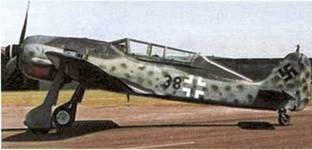 Иллюстрация к книге — Фокке-Вульф Fw 190, 1936-1945 [pic_50.jpg]
