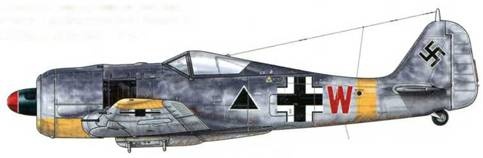 Иллюстрация к книге — Фокке-Вульф Fw 190, 1936-1945 [pic_58.jpg]