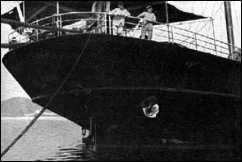 Иллюстрация к книге — Дарданеллы 1915: Самое кровавое поражение Черчилля [i_021.jpg]