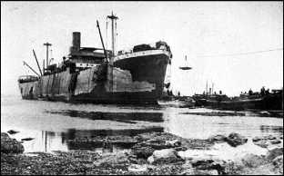 Иллюстрация к книге — Дарданеллы 1915: Самое кровавое поражение Черчилля [i_155.jpg]