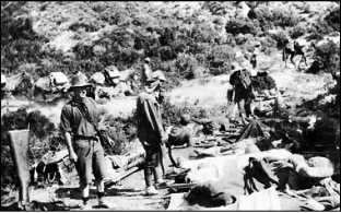 Иллюстрация к книге — Дарданеллы 1915: Самое кровавое поражение Черчилля [i_265.jpg]