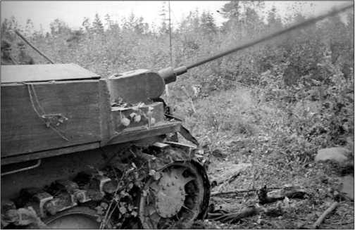 Иллюстрация к книге — Танки Блицкрига Pz.I и Pz.II [i_109.jpg]