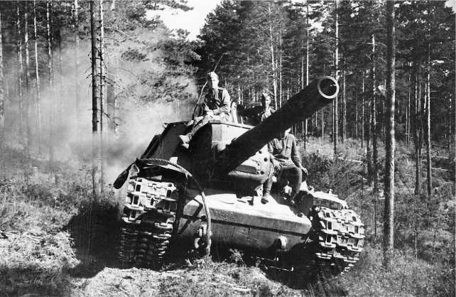 Иллюстрация к книге — «Зверобои». Убийцы «Тигров» [i_060.jpg]