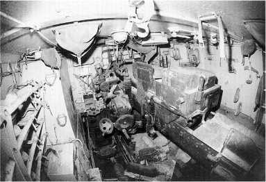 Иллюстрация к книге — «Зверобои». Убийцы «Тигров» [i_067.jpg]