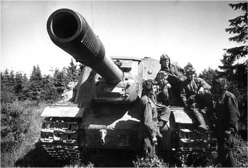 Иллюстрация к книге — «Зверобои». Убийцы «Тигров» [i_073.jpg]