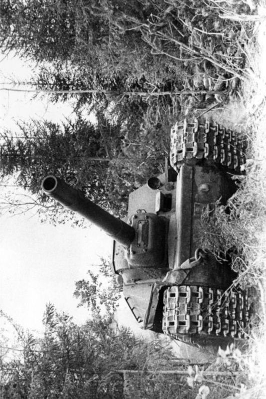 Иллюстрация к книге — «Зверобои». Убийцы «Тигров» [i_171.jpg]