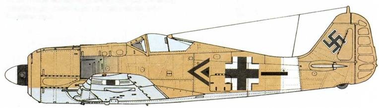 Иллюстрация к книге — Истребитель Focke – Wulf FW 190 [pic_40.jpg]