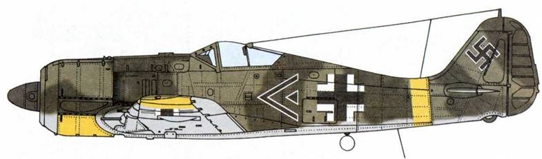 Иллюстрация к книге — Истребитель Focke – Wulf FW 190 [pic_46.jpg]