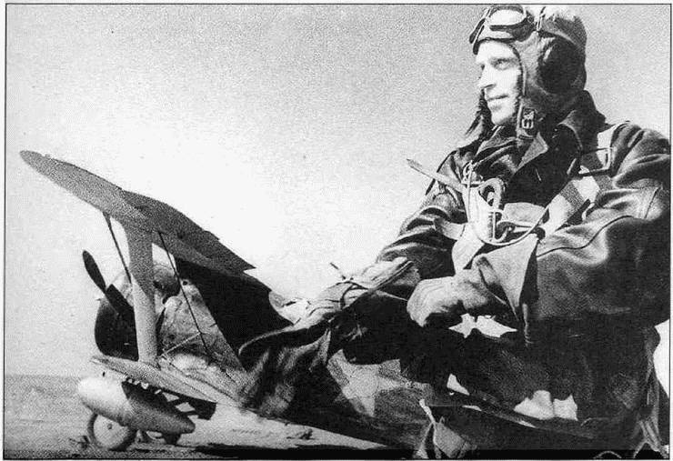 Иллюстрация к книге — Истребитель И-153 «Чайка» [i_028.jpg]