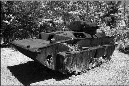 Иллюстрация к книге — Десантные амфибии Второй Мировой [i_170.jpg]