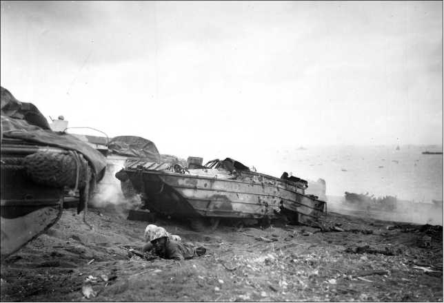 Иллюстрация к книге — Десантные амфибии Второй Мировой [i_179.jpg]