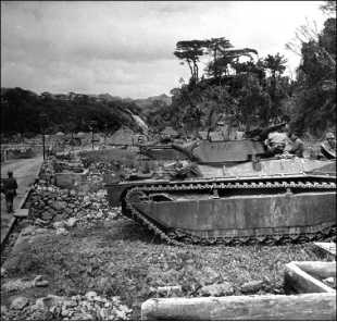 Иллюстрация к книге — Десантные амфибии Второй Мировой [i_190.jpg]