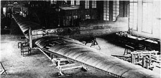 Иллюстрация к книге — Экспериментальные самолёты России. 1912-1941 гг. [i_210.jpg]