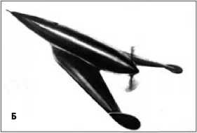 Иллюстрация к книге — Экспериментальные самолёты России. 1912-1941 гг. [i_278.jpg]