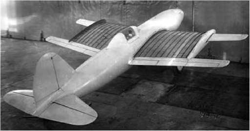 Иллюстрация к книге — Экспериментальные самолёты России. 1912-1941 гг. [i_323.jpg]