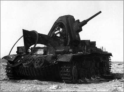 Иллюстрация к книге — Танки III Рейха. Том II [i_081.jpg]