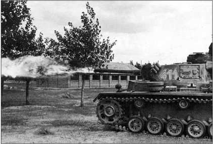 Иллюстрация к книге — Танки III Рейха. Том II [i_095.jpg]