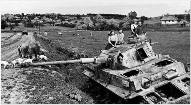 Иллюстрация к книге — Танки III Рейха. Том II [i_195.jpg]