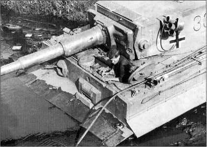 Иллюстрация к книге — Танки III Рейха. Том III [i_077.jpg]