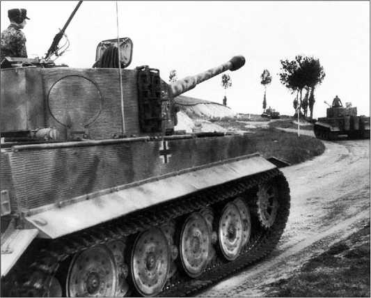 Иллюстрация к книге — Танки III Рейха. Том III [i_105.jpg]