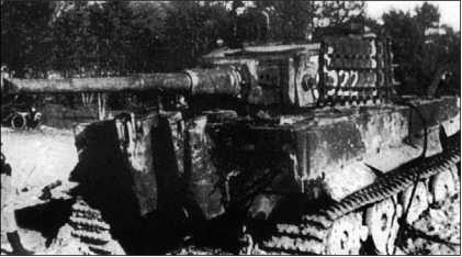 Иллюстрация к книге — Танки III Рейха. Том III [i_133.jpg]