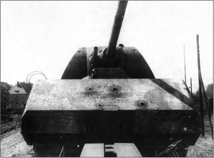 Иллюстрация к книге — Танки III Рейха. Том III [i_270.jpg]