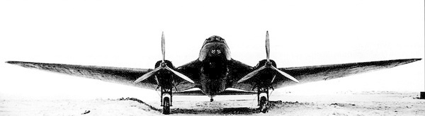 Иллюстрация к книге — Дальний бомбардировщик Ер-2. Самолет несбывшихся надежд [i_007.jpg]