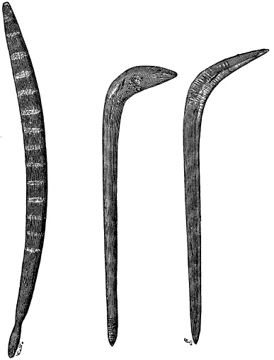 Иллюстрация к книге — Мифы и легенды австралийских аборигенов [i_011.jpg]